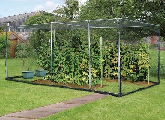 Agriframes Fruit Cage with Door - Click Image to Close