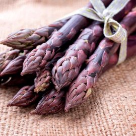 (image for) Asparagus 'Erasmus' F1