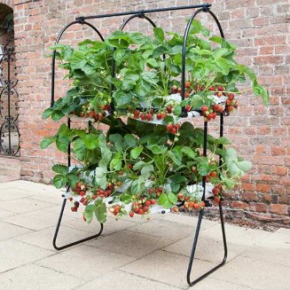 Agriframes Strawberry Tabletop