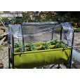 (image for) Vigoroot™ Easy Table Garden