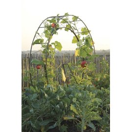(image for) London Eye Plant Frame