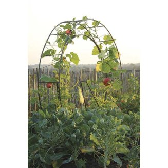(image for) London Eye Plant Frame