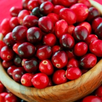 (image for) Cranberry Bush 'Earliblack' (3 plants)