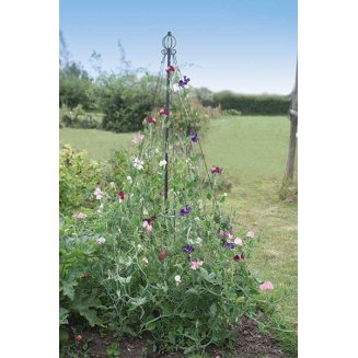 (image for) Garden Maypole