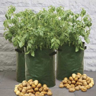 Potato Planters (pack of 3)