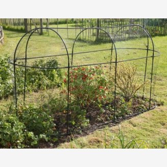 Long Fruit Cage