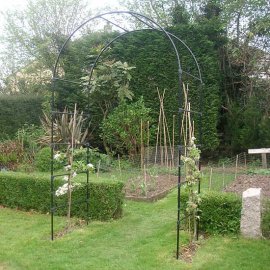 (image for) Agriframes Fruit Tree Arch