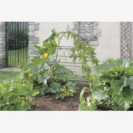 Square Ornamental Plant Frame