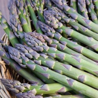 Asparagus 'Guelph Millennium' (12 crowns)