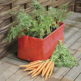 Carrot Planters (pack of 2)