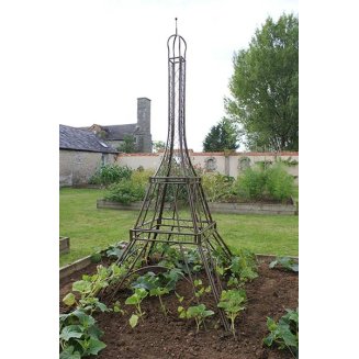 (image for) Eiffel Tower Plant Frame