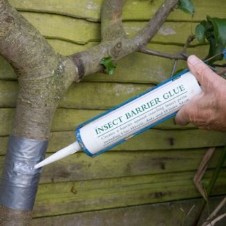 Insect Barrier Glue 300ml (Large) (image for) Insect Barrier Glue 300ml (Large)