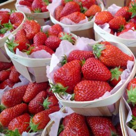 Strawberry Plants 'Gariguette' (12 plants)