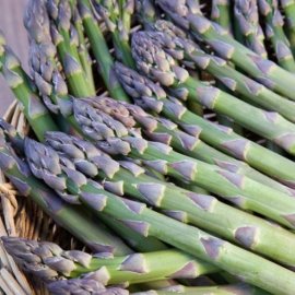 Asparagus 'Guelph Millennium' (12 crowns)