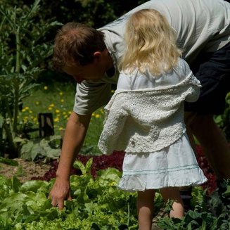 Family Favourites Vegetable Patch