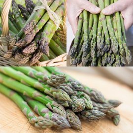 (image for) Asparagus Collection (18 crowns)