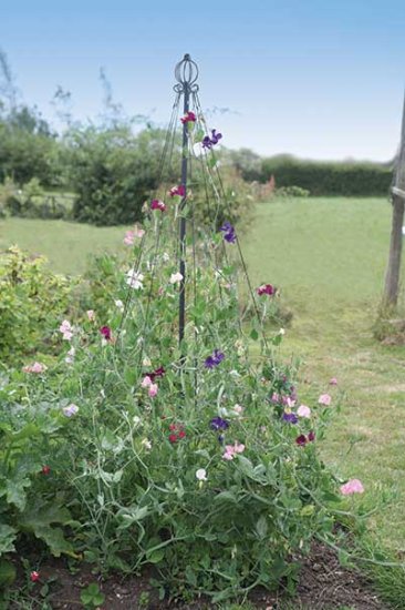 Garden Maypole - Click Image to Close