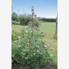 Garden Maypole