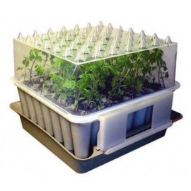 Window Sill Plug Plant Propagator