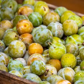 (image for) Cordon Gage 'Old Greengage'