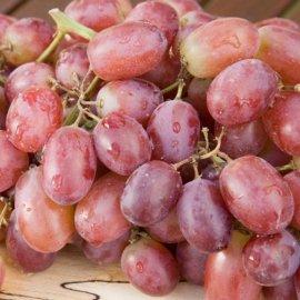 (image for) Grape Vine 'Flame Seedless'