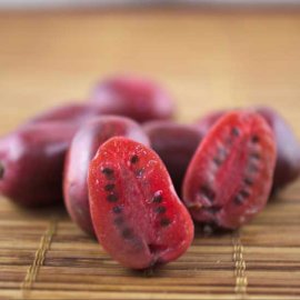 Hardy Kiwi Vine 'Ken's Red'