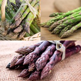 (image for) Asparagus Collection (18 crowns)