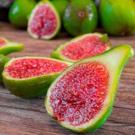 (image for) Fig Tree 'Dalmatie'