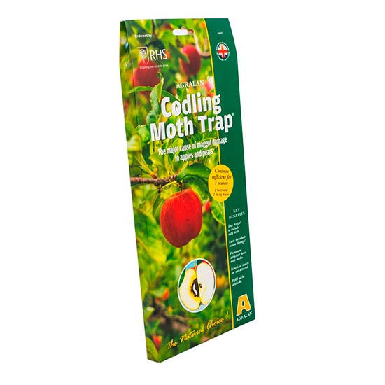Codling Moth Trap - Click Image to Close