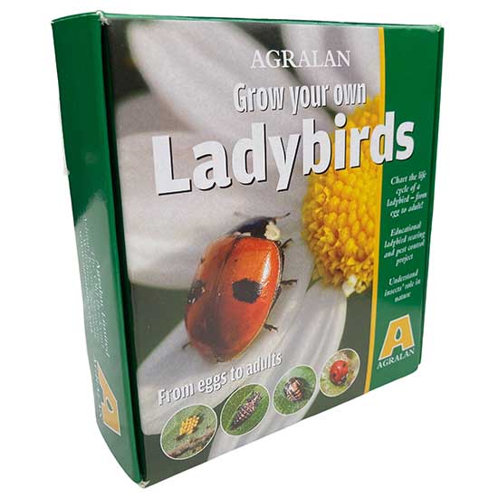 Grow Your Own Ladybird Kit - Click Image to Close