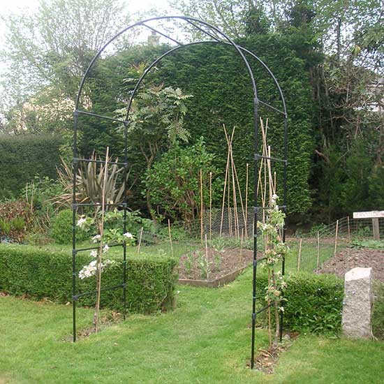 Agriframes Fruit Tree Arch - Click Image to Close