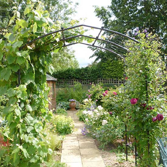 Agriframes Vine Arch - Click Image to Close