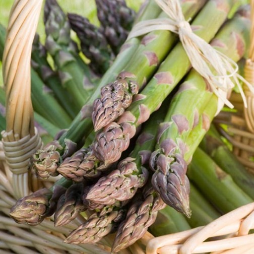 Asparagus 'Gijnlim' (12 crowns) - Click Image to Close