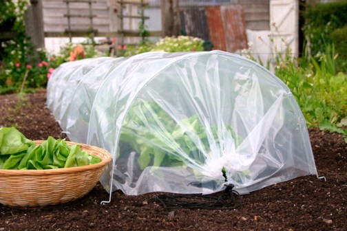 Easy Poly Tunnel (Standard) - Click Image to Close