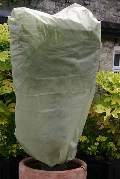 Easy Fleece Jackets Large (pack of 2)
