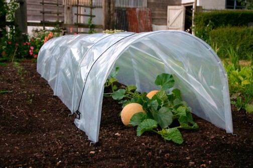 Easy Poly Tunnel (Giant) - Click Image to Close