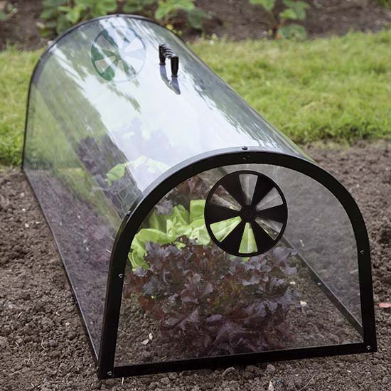 Kitchen Garden Cloche - Click Image to Close