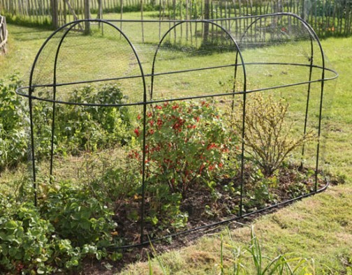 Long Fruit Cage - Click Image to Close