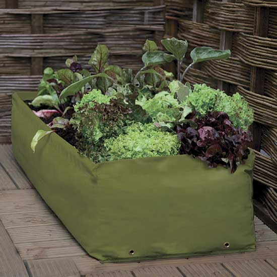 Multipurpose Growbag Planter - Click Image to Close