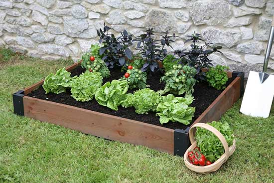 Raised Bed Base - Click Image to Close