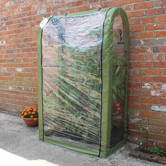 Tomato Crop Booster Frame & Poly Cover - Click Image to Close