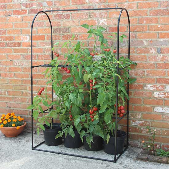 Tomato Crop Booster Frame - Click Image to Close
