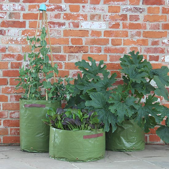 Assorted Vegetable Planters (pack of 3) - Click Image to Close