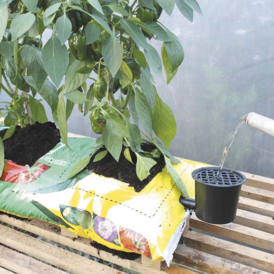 Speed Feed Growbag Irrigator (pack of 2) - Click Image to Close