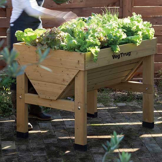 VegTrug™ Small Patio Planter - Click Image to Close