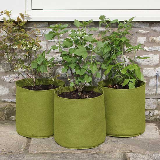 Vigoroot™ 20 Litre Pots (pack of 3) - Click Image to Close