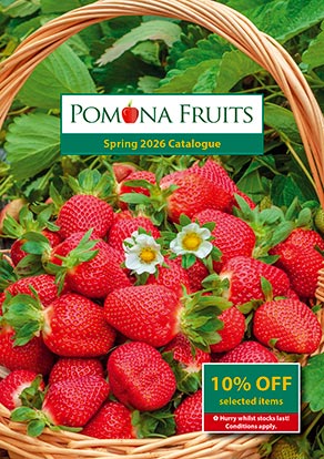 (image for) Request A Catalogue