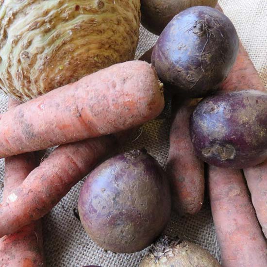 Root Vegetable Collection (60 plants) - Click Image to Close