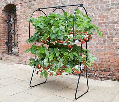 Garden Accessories